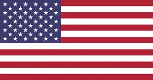 american flag-Bellevue